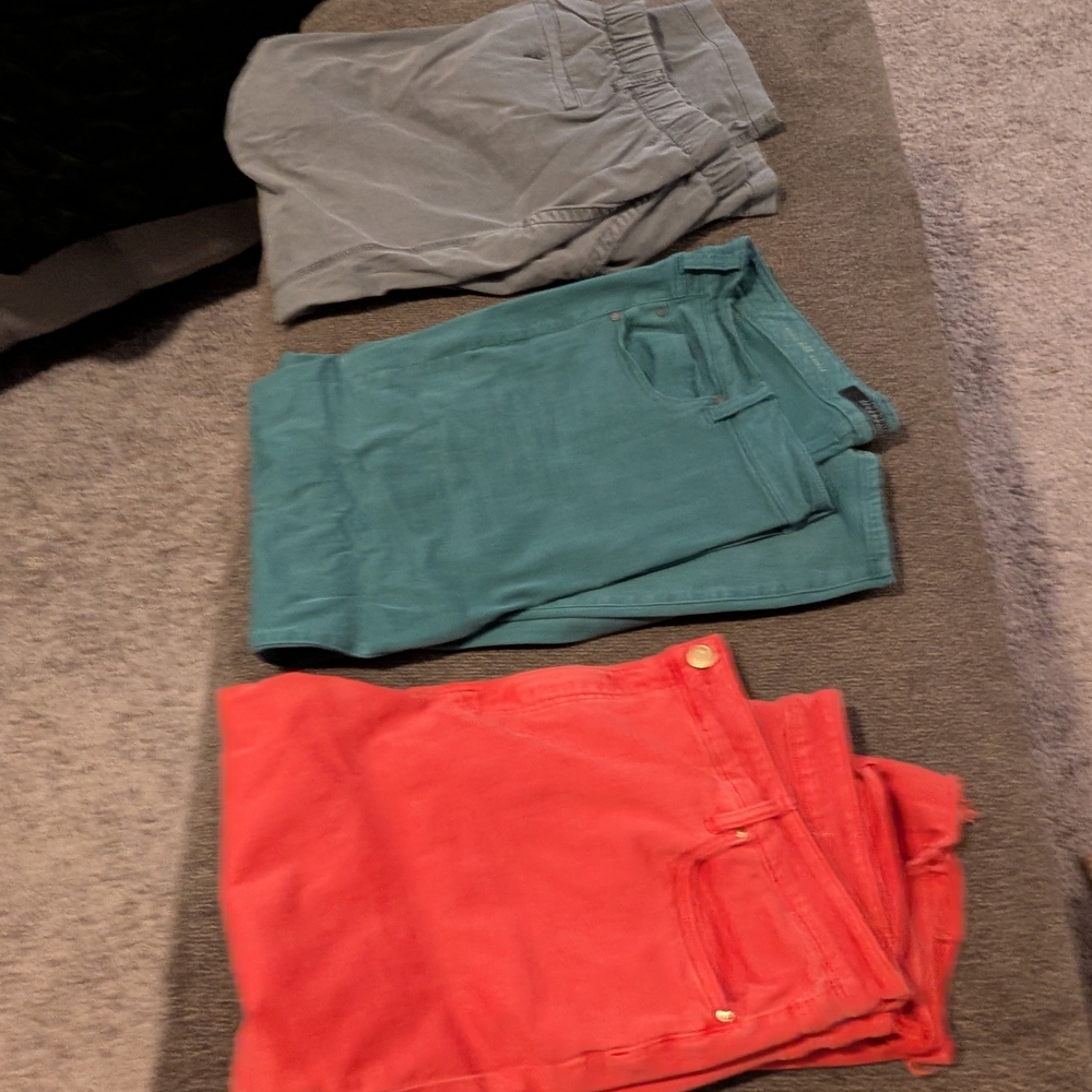 Teal, Coral and Gray Pants Lot Size 20